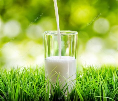 Glass Of Milk On Nature Background Stock Photo By ©efired 22788928