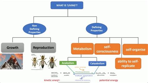 Defining Properties Of Living Organism The Living Worldaps Biology