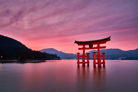 The Great Torii Shiromis Diary