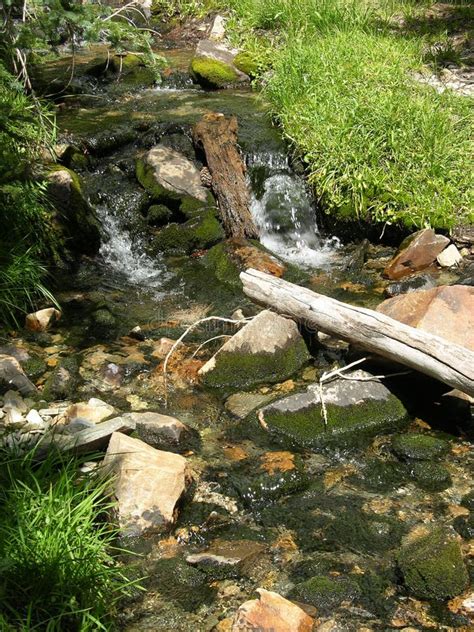 Ruisseau De Montagne Avec De Leau Lécoulement De Leau Sur Les