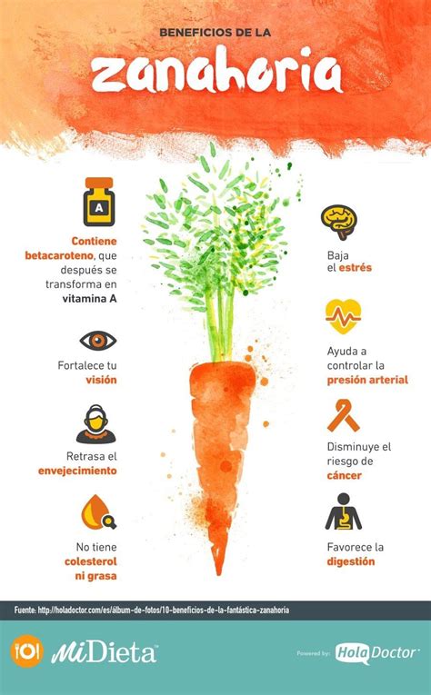 Beneficios De Comer Zanahoria A Diario Qué Le Pasa A Tu Cuerpo