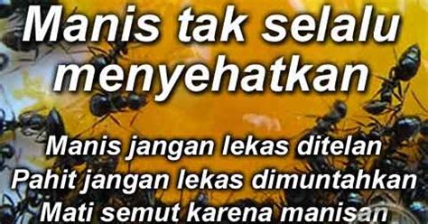 highfivehoopschool: Kumpulan Pantun Humor Terbaik