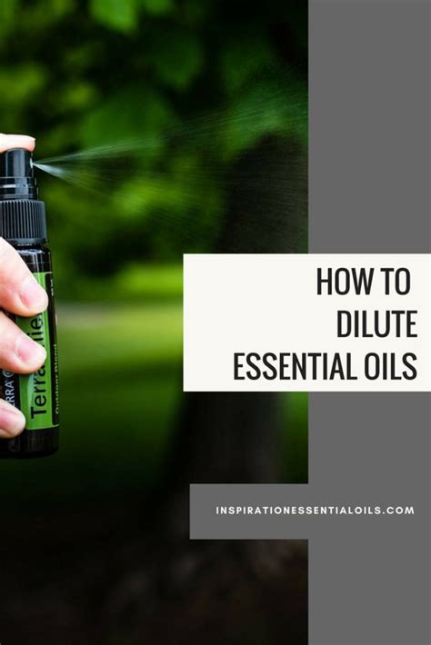 How To Dilute Essential Oils Inspiration Essential Oils Diluting