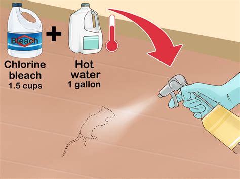 How To Clean Rat Droppings 14 Steps With Pictures Wikihow