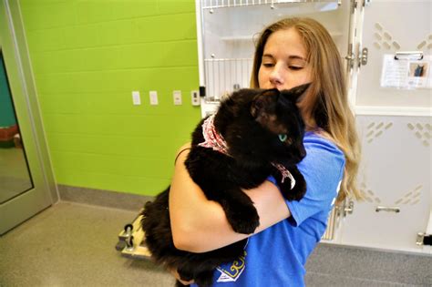 Lawrence Humane Society Moves Into New 75 Million Shelter News