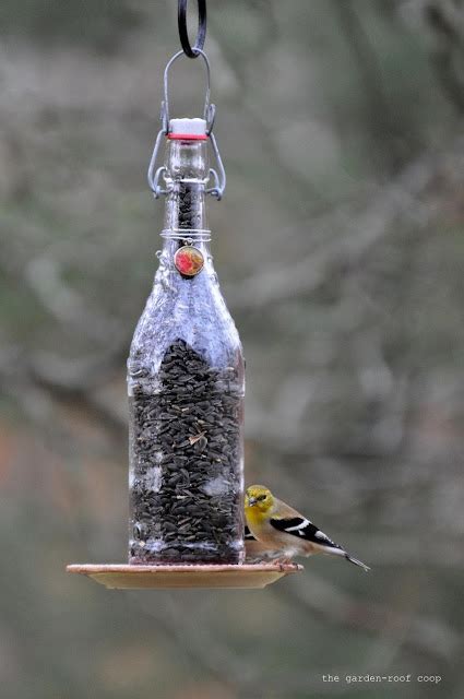 Bird In Everything Goldfinch Birdhouse Plans