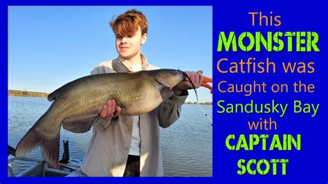 Catching Lots Of Monster Sized Catfish With Capt Scott On Sandusky Bay