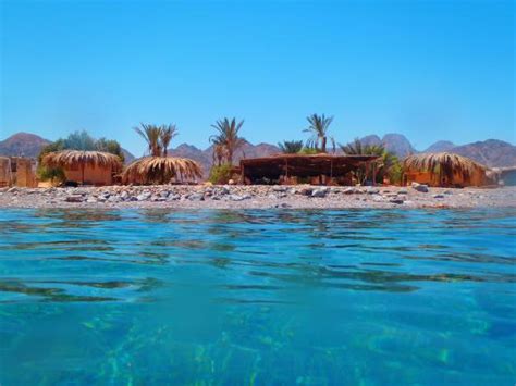 We did not find results for: Meditation Camp Ras Shitan - صورة فاير كامب مدتيشن ، نويبع ...