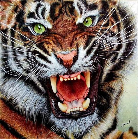 Amazingly Realistic Drawings Created With Ballpoint Pens 11 Photos