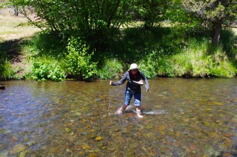Whychus Creek Crossing Hiking In Portland Oregon And Washington