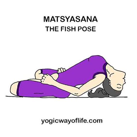Matsyasana The Yogic Fish Pose