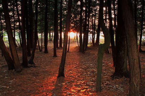 Young State Park Boyne City Michigan