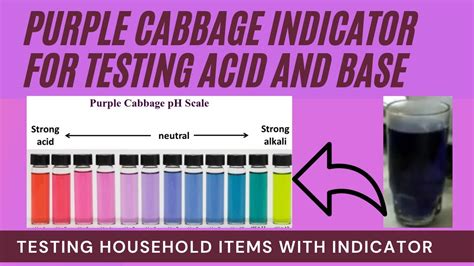 How To Use Purple Cabbage Indicator To Test For Acids And Base