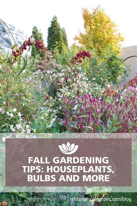 Fall Gardening Tips Autumn Garden Gardening Tips Houseplants