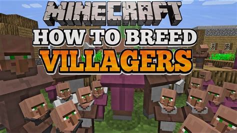 Then they create a baby villager. How To Breed Villagers In Minecraft Xbox One