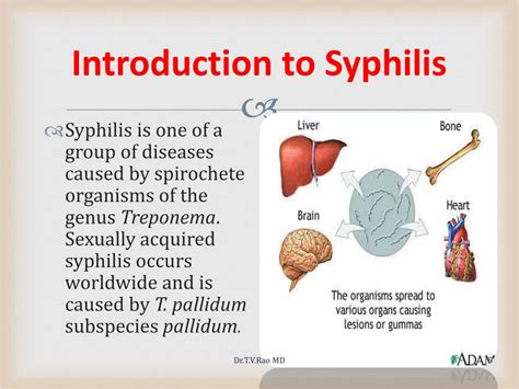 Ppt Serological Diagnosis Of Syphilis Powerpoint Presentation Free