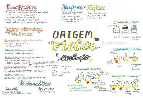 A Origem Da Vida Criação Ou Evolução Documentário Resumo
