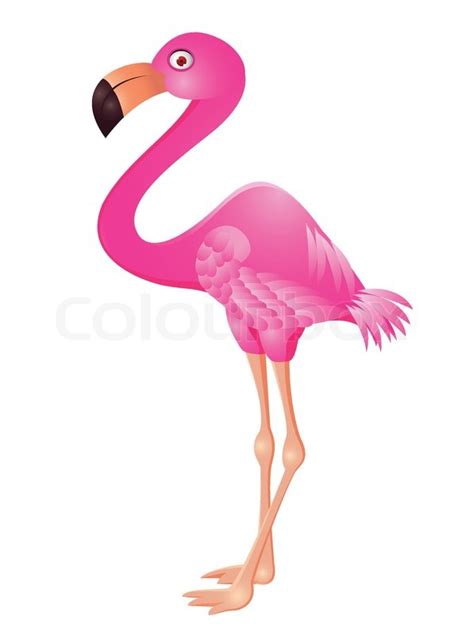 Flamingo Cartoon Stock Vector Colourbox