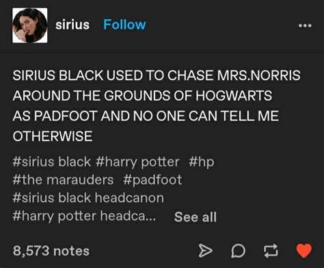 Funny Harry Potter Headcanons
