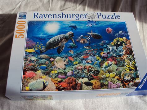 How To Build A 5000 Piece Ravensburger Jigsaw Puzzle Hobbylark