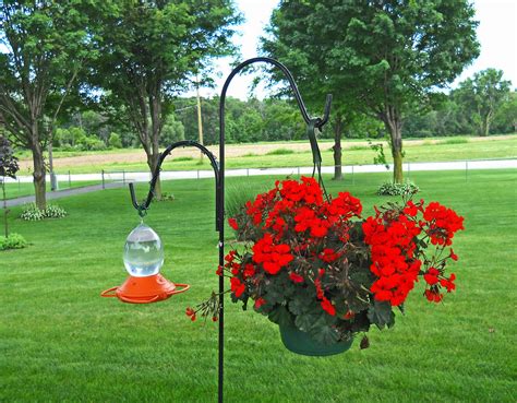 Six plants and flowers that will attract more hummingbirds to your garden. Potted flowers & hummingbird feeder | This is one view ...