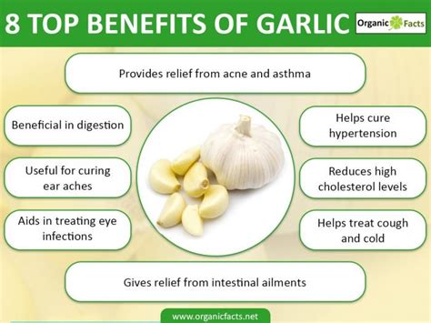 Honey health benefits includes controlling cholesterol level, managing diabetes, treating gastric problems, fighting infections, boosting energy this miraculous substance possesses healing properties that makes it a natural healer. Benefits of Garlic | Nikki Kuban Minton