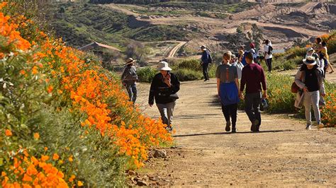 Aug 26, 2015 · congratulations to the authors of the top posts of 2019! Lake Elsinore 'Super Bloom' Trail Reopens to Huge Crowds ...