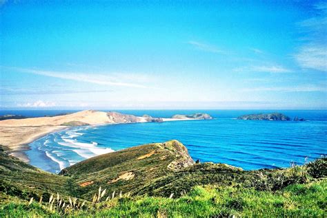 Wandering In The Bay Of Islands New Zealand World Wandering Kiwi