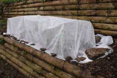 How To Properly Protect Plants During A Freeze - TerraTurf