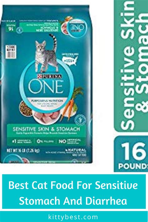 Best Cat Food For Cats With Diarrhea Houses And Apartments For Rent