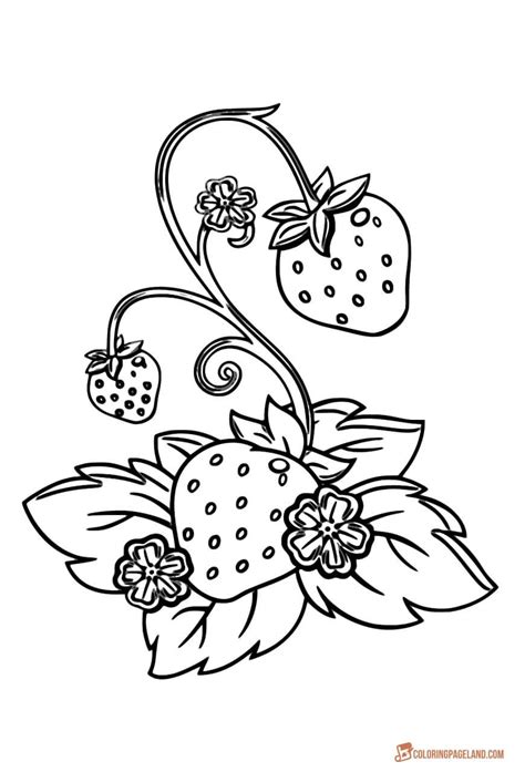 Strawberry Coloring Pages Downloadable And Printable Images