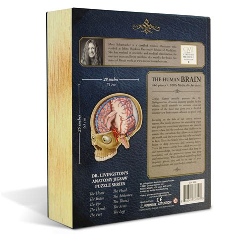 Human Brain Anatomy Jigsaw Puzzle Unique Shaped Science Puzzles