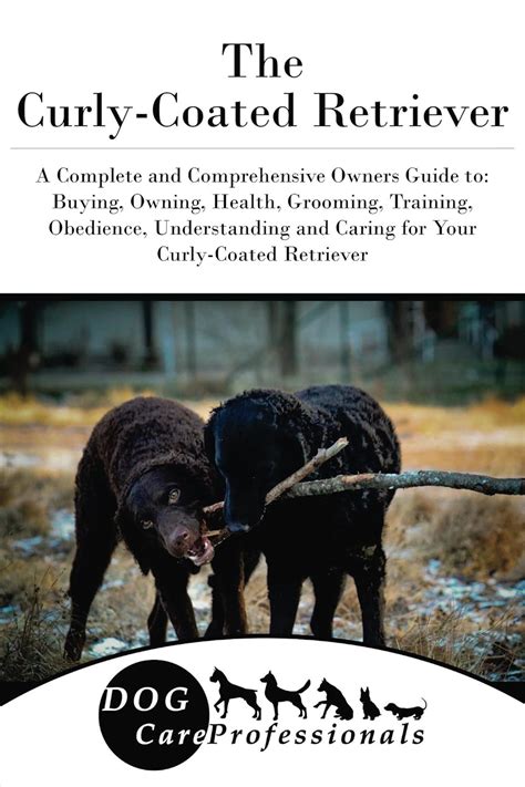 The Curly Coated Retriever The Ultimate Handbook Series To Caring For
