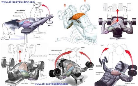 Best Dumbbell Chest Workout At Home Without Bench For At Home Holiday