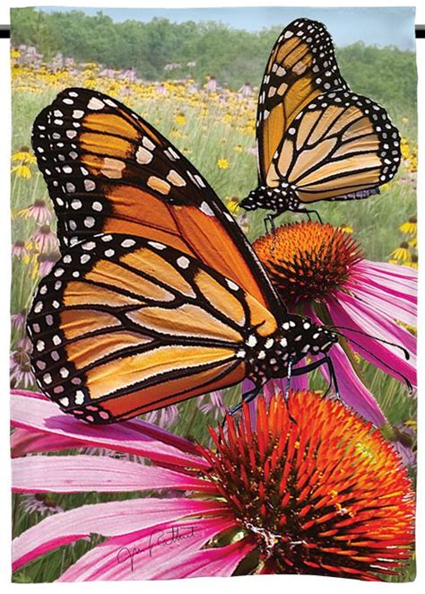 Butterfly Garden Flag Monarchs On The Glade Butterfly Art Painting