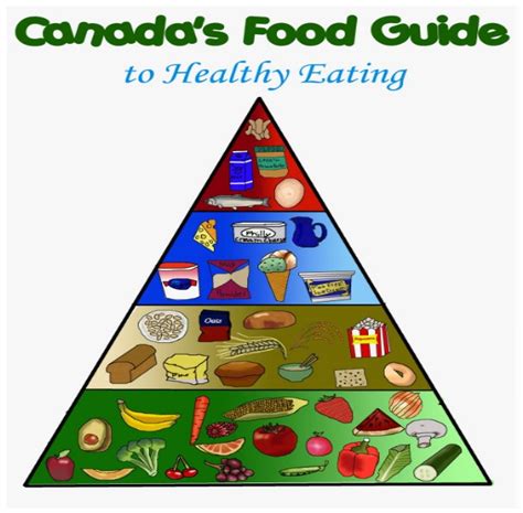 Canada S Food Guide