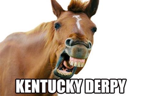 funny kentucky derby memes