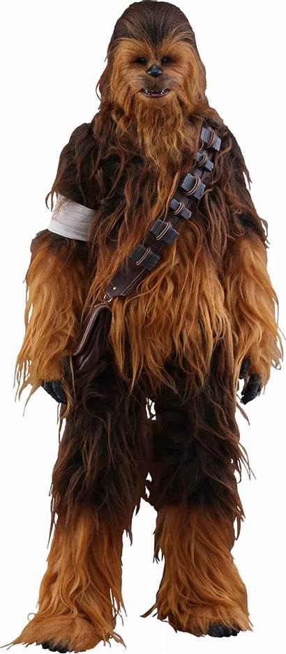 Chewbacca Wars Star Chewie Toys Han Sideshow
