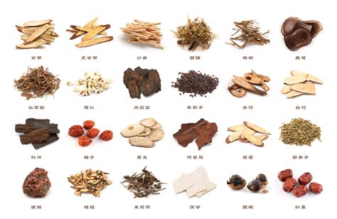 Chinese Herbal Medicine