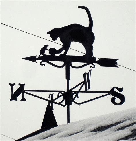 Cat And Mouse Weathervane In Cashes Green Stroud On Flickr Cat Mouse