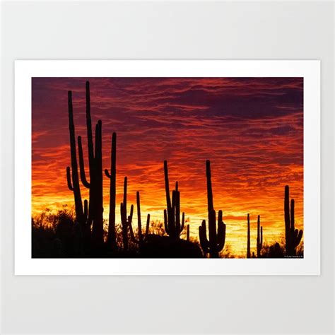 Tucson Mountain Park Sunset Art Print By Tim Rahija Photography And