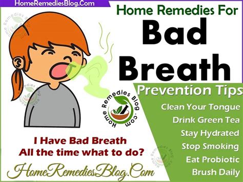 13 Best Home Remedies For Bad Breath Treatment Home Remedies Blog