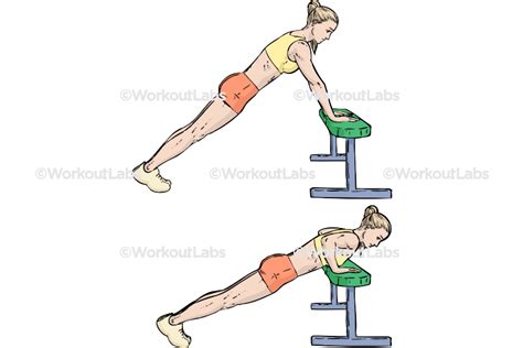 Incline Push Ups Pushups Workoutlabs Exercise Guide