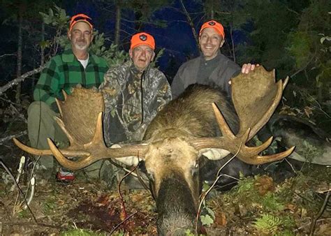 Guided Moose Hunting Trips In Maine Wmd 1 2 3 4 And 5