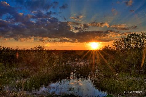 Sunset Over The Everglades By Bill Wetmore Redbubble