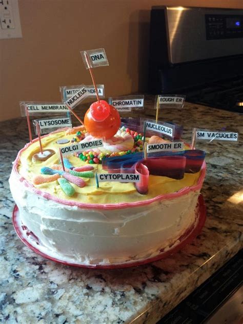 Check spelling or type a new query. Animal cell project, Animal cell, Edible cell project
