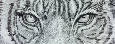 Tiger Eye Drawing By Hae Kim Fine Art America
