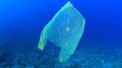 Plastic Invasion Reaches To The Worlds Deepest Ocean Trench