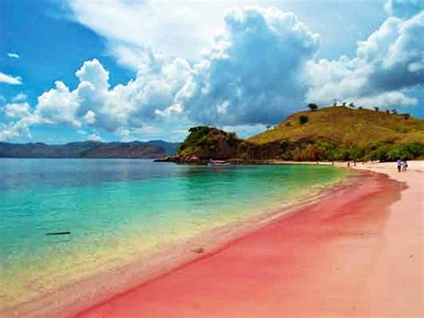 Pink Beach Komodo Island Indonesia Beautiful Beaches Beaches In