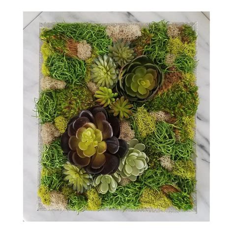 The Druid - Faux Succulent and Moss Framed Botanical Art | Framed botanical art, Framed ...